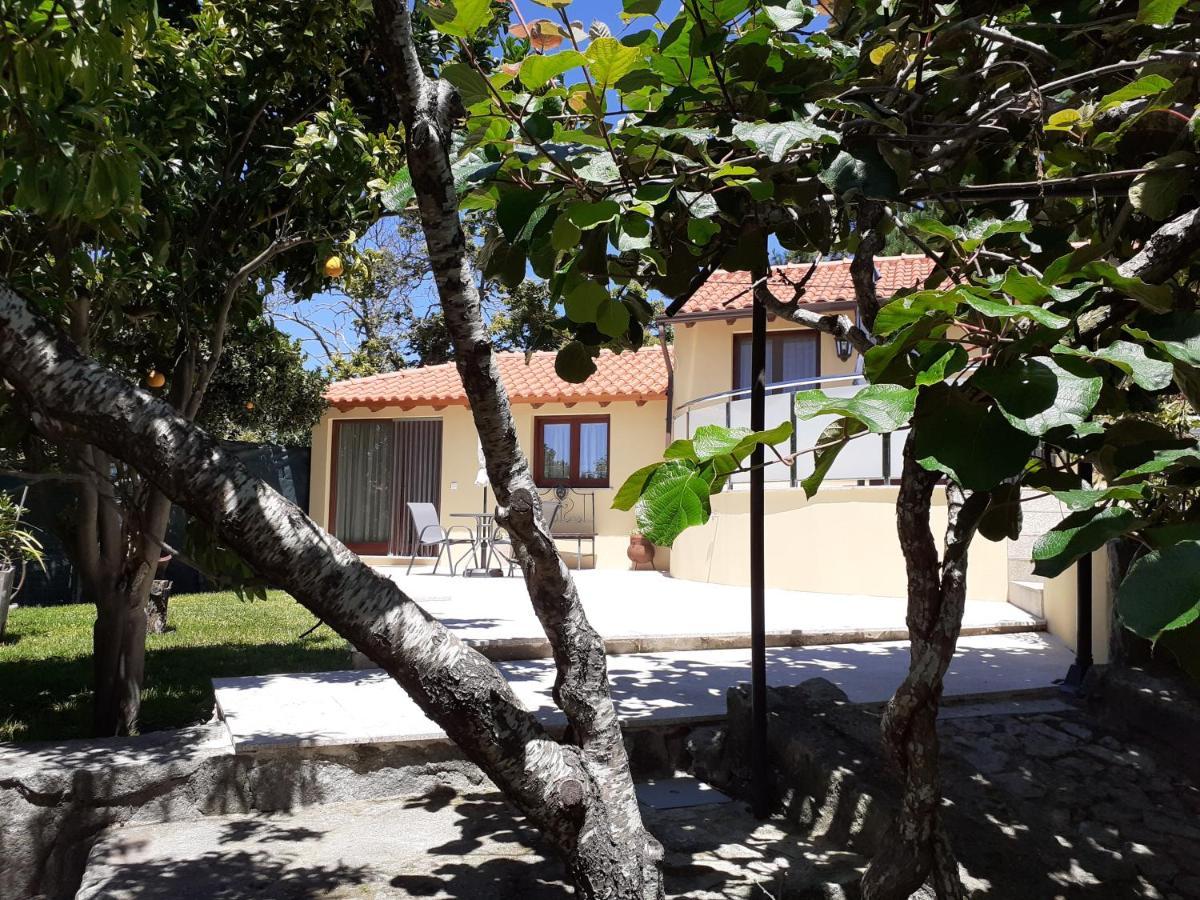 Casa De Santa Luzia A Apartment Vila Praia de Ancora Luaran gambar