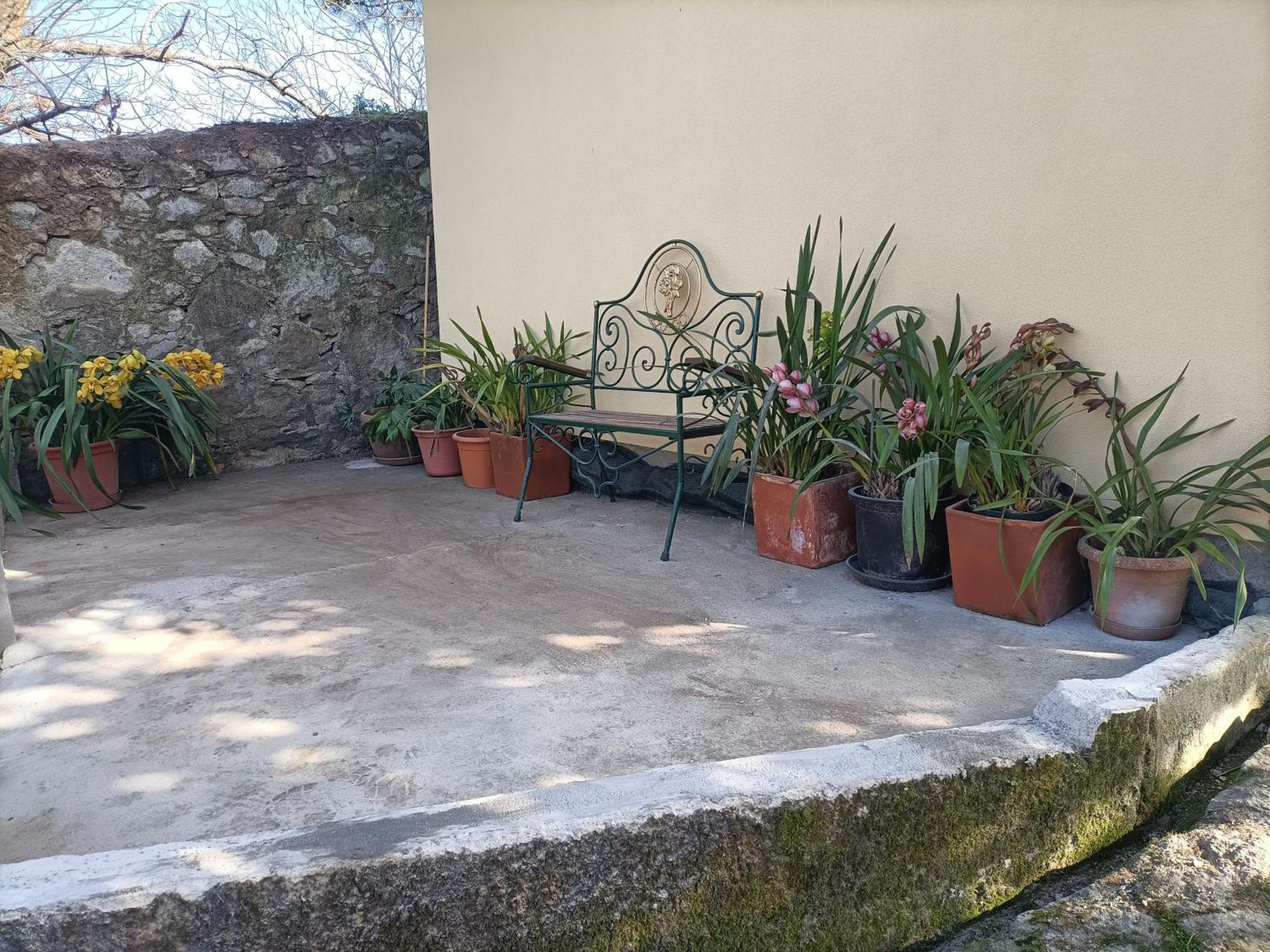Casa De Santa Luzia A Apartment Vila Praia de Ancora Luaran gambar